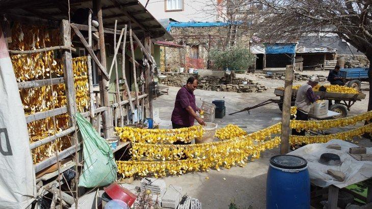 <p><strong>Adana'nın Kozan ilçesine bağlı Konak Mahallesi'nde narenciye kabukları kurutularak ekonomiye kazandırılıyor. Bu yıl dalında 7 TL'den alıcı bulan ve 3 TL'ye düşen limon, portakal ve turunç ürünleri kabukları kurutularak ekonomik girdi sağlıyor.</strong></p>
