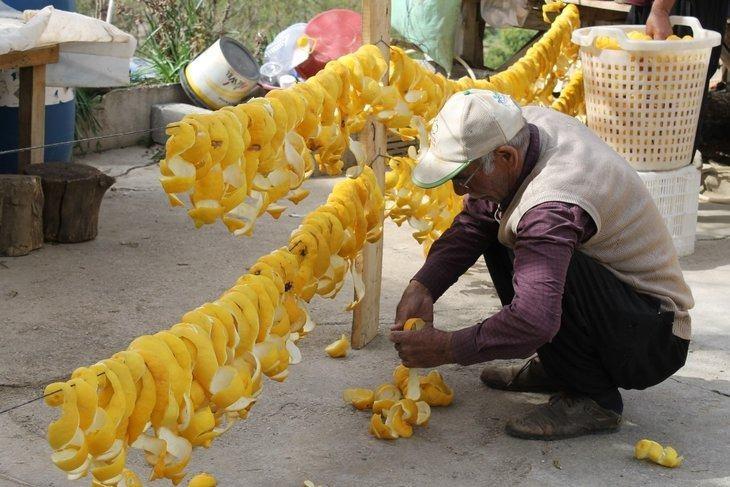 <p><strong>"ÇOK ZOR EMEĞİ ÇOK"</strong></p>
<p><strong>10 yıldır emekli maaşına ek gelir olarak limon kabuğu kuruttuklarını aktaran 68 yaşındaki Nevzat Yaşar; "Ağaçta kalan limonları soyuyoruz. Dalında 7 TL idi, kurusu 18 TL'den satılıyor. Çok zor emeği çok. Bütün köy bu işi yapıyor. Dalında kalacağına ekonomiye kazandırılıyor" dedi.</strong></p>