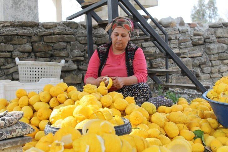 <p><strong>Limonun 7 TL'den 3 TL'ye kadar düştüğünü aktaran Yiğenoğlu, "Kabuğunu soyuyoruz, her alanda kullanılıyor. </strong></p>