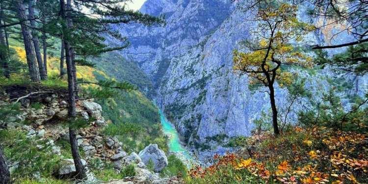 <p>Talepleri bulunuyor ama onlarda artık deprem dolayısıyla ev ya da arsa arıyorlar. </p>