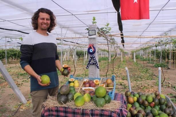 <p><strong>Tüm dünyayı etkisi altına alan pandemi döneminde tropikal meyvelerin üretildiği çiftliklerde gönüllü çalışıp daha sonra kendi ülkesinde üreticilik yapmaya karar veren Aksema, İzmir'in Güzelbahçe ilçesinde kurduğu 3 bin metrekarelik serada halk arasında "çarkıfelek", "aşk meyvesi", "tutku meyvesi" adıyla bilinen passiflora isimli meyveyi üretmeye başladı.</strong></p>
<p> </p>