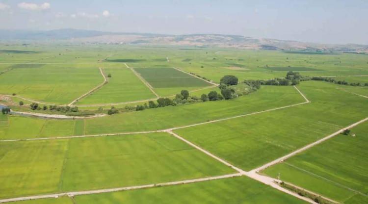 <p>Mardin,</p>
