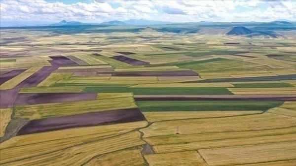 <p>Samsun,</p>
