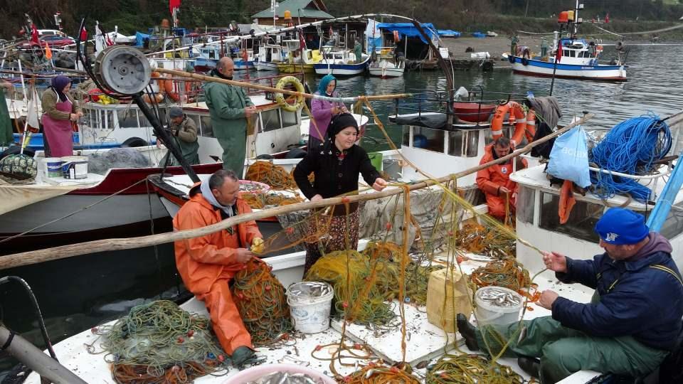 <p>Türkiye genelinde sayıları binlere ulaşan kadın balıkçılar sabahın ilk saatlerinde denizin sularına ağ atıyor. Perşembe ilçesi Okçu Mahallesi’nde 1950’li yıllarda gemici bulamadıkları için yardım için eşlerini çağıran balıkçılar, yıllardır karı-koca bu mesleği nesilden nesle aktarmaya devam ediyor. </p>

<p> </p>
