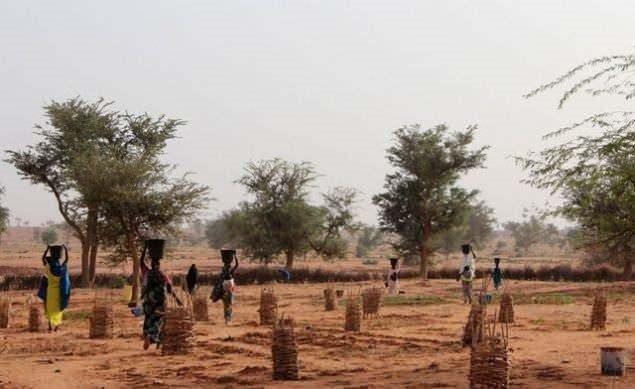 <p><strong>Nijer: Gen&ccedil; yaşta evlilik</strong></p>
