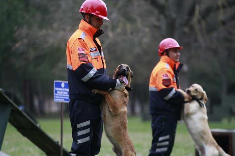 <p><strong>'ADIYAMAN'DA KONUŞLANDIK'</strong></p>

<p>Askeri Veteriner Okulu ve Eğitim Merkezi Komutanlığı Köpek Üretim ve Eğitim Tabur Komutanı Veteriner Yarbay Dr. Umut Çelik, “Deprem haberini aldığımız anda intikal hazırlıklarımıza başlayarak, ivedilikle en seri vasıta olan uçakla bölgeye intikalimizi yaptık. Aynı bizim yaptığımız şekilde hazırlıklarını tamamlayan diğer köpekli timlerimiz de burada eğitimini almış olan ve diğer birliklerin emrinde bulunan köpekli timlerimiz de bölgeye intikal etmişti.</p>
