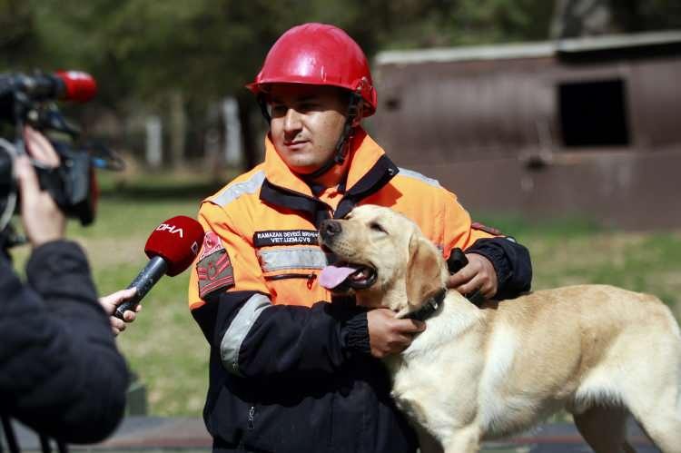 <p><strong>Bölgede, İnsani Yardım Tugayı’na bağlı köpeklerimiz ile Köpek Eğitim Destek Müfreze Komutanlıkları’nda görev yapan askeri köpekli timlerimiz ve taburumuza bağlı köpekler söz konusu bölgede görev yaptılar. Başarıyla görevlerini tamamladılar.”</strong></p>
