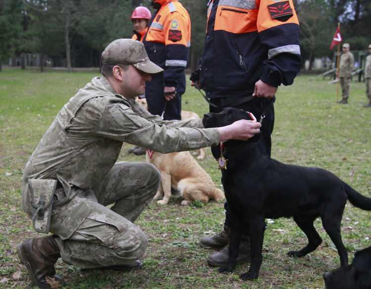 <p><strong>‘ÖYLE BÜYÜK BİR DEPREMDİ Kİ, PERSONELİMİZ ZAMANLA YARIŞTI’</strong></p>

<p>Deprem bölgesinde timlerin zamanla yarıştığına dikkat çeken Yarbay Umut Çelik, köpeklerin ilk 40 saat boyunca dinlenmeden ve yemek yemeden enkazda canlı tespiti yaptığını vurgulayarak şunları söyledi:</p>

<p>“Deprem bölgesine vardığımızda özellikle ilk 40 saat içerisinde, personelimiz çetin hava şartları altında, zamanla yarışarak, hiç durmaksızın arama faaliyetlerine iştirak ettiler. Türk Silahlı Kuvvetleri'nde önce emniyet sonra hareket prensibiyle hareket edilir. Emniyet beklenmeksizin alınır. Fakat öyle büyük bir depremdi ki personelimiz zamanla yarıştığı için, çoğu zaman kendi emniyetlerini hiçe sayarak, enkaz alanlarında canla başla görev yapmak suretiyle, her türlü cana dokunmaya çalıştılar. </p>
