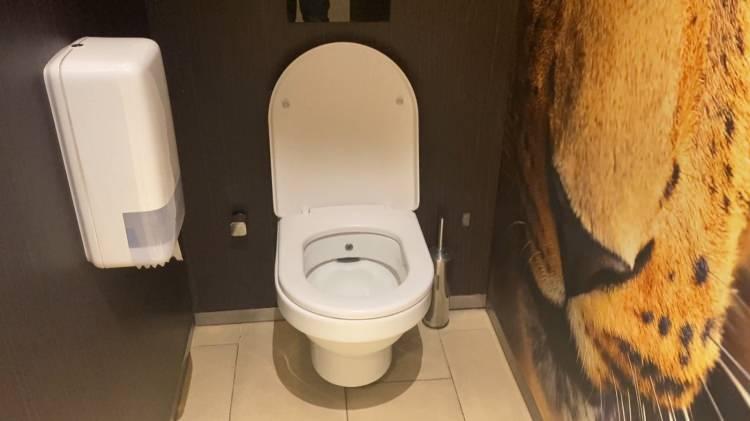 <p>Florya'da bir alışveriş merkezinde müşterilerine VİP hizmet veren tuvalet, Avrupa'da 200 şubesi bulunan Hollandalı bir şirket tarafından 2015 yılında açıldı. Türkiye'de tek şubesi bulunan ve lüks hizmet konseptiyle işletilen tuvaletin kadın kısmında özel makyaj aynası ve kadınlara özel ürünlerin satıldığı bir nokta da bulunuyor. İlk açıldığında 1.5 lira ücret belirlenen VİP tuvaletin yeni ücreti ise 25 liraya yükseldi.<br />
<br />
Bebeklere özel dizayn edilen bölümün kullanım ücreti ise 50 lira olurken, alışveriş merkezinin çalışanları aylık 400 lira abonelik ücreti vererek VİP tuvaleti kullanabiliyor.</p>

<p> </p>
