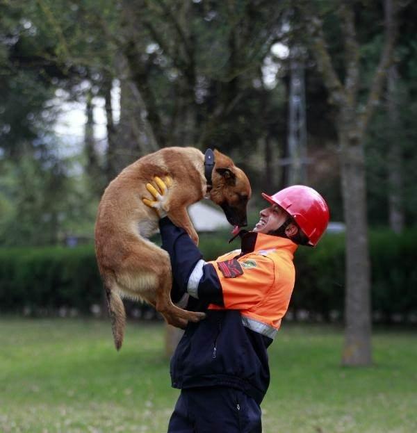 <p><strong>‘EĞİTİM SÜRECİ SADECE DİSİPLİNLE SAĞLANMIYOR’</strong></p>
<p>‘Sosyalizasyon’ ve ‘branş’ eğitimleri alan köpeklere, detaylı bir ‘itaat’ eğitimi de veriliyor. Böylece arama köpeklerinin kullanımı tamamen eğiticisinin kontrolü altına giriyor. 20 aylık zorlu eğitim sürecinin ardından eğiticisiyle, askeri birliklere tayini çıkan arama köpekleri, doğal afetlerin yanı sıra operasyon bölgelerinde terörist unsurların tespit edilmesinde de etkin rol alıyor. Köpeklerin eğitimlerinin yanı sıra beslenmelerine de özellikle dikkat edildiğine dikkat çeken Yarbay Umut Çelik, zorlu eğitim sürecini şöyle anlattı:</p>
<p>“Bu köpekler eğitim sürecine ilk basamağı olan sosyalizasyon eğitimiyle başlıyorlar. Sosyalizasyon eğitiminde, aynı Türk Silahlı Kuvvetleri’nin tüm personelinde olduğu gibi, her türlü iklim, arazi şartlarında görev yapabilecek şekilde, gece ve gündüz şartlarında eğitimlerini icra ediyorlar.</p>