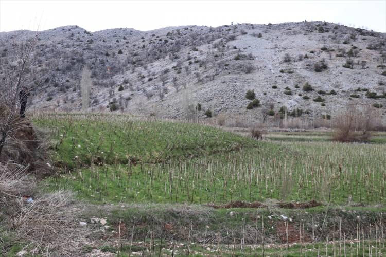 <p>Büyükşan, gerek depremin etkisi gerekse sonrasında hava sıcaklığının düşmesi gibi nedenlerle mahalle halkının farklı yerlere göç ettiğini aktararak "Şu anda mahallede 5-6 aile yaşıyor, köyden gidenlere de duyurayım, mahalleye su verilecek. Herkesin köyüne dönmesini istiyoruz. Çadır ve konteyner talebinde bulunduk, artık buraya dönebilirler." diye konuştu.</p>
