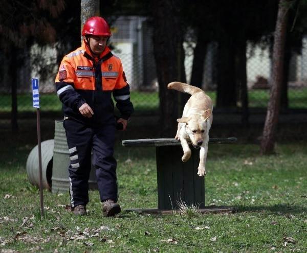 <p>Kahramanmaraş’taki depremlerin ardından bölgede görev alan arama köpekleri, 78 kişinin enkazdan kurtarılmasını sağladı.</p>
