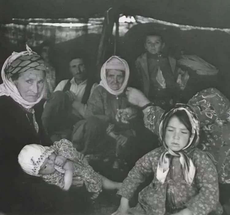 <p>Yörük Türkleri. Aydın 1956</p>
