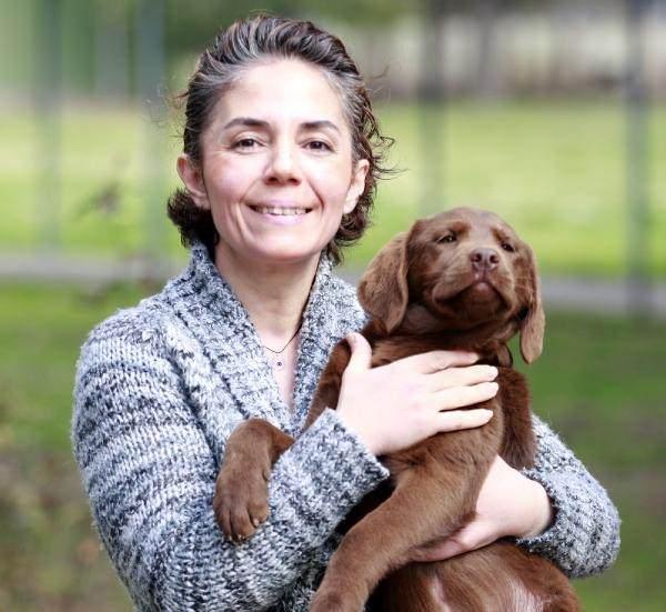 <p> Köpeklerimiz beslenme aşamasında çok yüksek enerji değeri, besin değeri yüksek mamalarla, yemlerle besleniyorlar. Ayrıca kendilerine istihkak olarak proteinden zengin, süt ve yumurta gibi gıda maddeleri veriliyor. Gene kas, kemik dokularının ve eklem sağlıklarının gelişmesi anlamında vitamin ve mineral takviyeleriyle Omega-3 gibi, probiyotik gibi bazı gıda takviyeleriyle bağışıklık sistemlerinin gelişmesi arzulanıyor.”</p>
