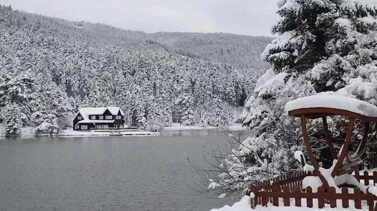<p>Bolu- 65 bin 986 kişi</p>

<p> </p>
