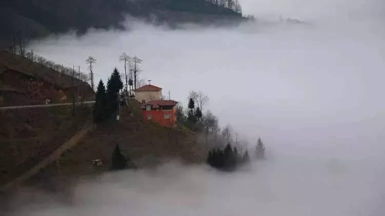 <p>Ordu - 525 bin 681 kişi</p>