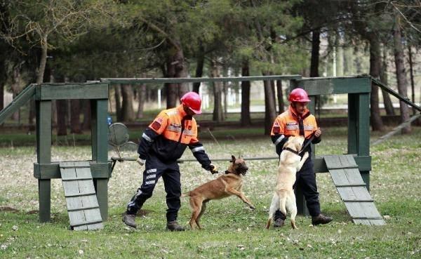 <p><strong>MİZAÇLARI VE İLGİ ALANLARI BRANŞ SEÇİMİNDE ETKİLİ OLUYOR</strong></p>
<p>Irk, cinsiyet, mizaç, cesaret, ilgi alanı gibi genel hususlarda pek çok kritere göre değerlendirilen köpeklerin hangi branşta eğitileceğinde karakteristik özellikleri etkili oluyor.</p>