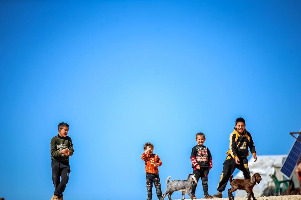 <p>Çadırında hiçbir gıda maddesi olmadığını belirten Ahmed, "Kampta yaşayan herkes yoksul, Allah insanların yardımcısı olsun. Bir poşet ekmek alacak paramız yok. Hazırlık yapacak paramız yok. Ramazanda sebze, yoğurt ve diğer gıda ürünlerine ihtiyacımız var." ifadelerini kullandı.</p>
<p> </p>