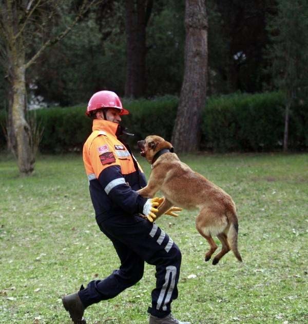 <p>‘Bomba arama’, ‘mayın arama’, ‘narkotik madde arama’, ‘devriye’, ‘iz takip’, ‘keşif’, ‘arama’ ve ‘ceset arama’ branşlarında eğitilen köpeklerin hangi eğitimi alacağına ise askeri bir heyet tarafından karar veriliyor. </p>
