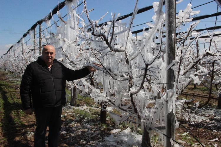 <p>Karaman’da yaşanan bu görüntüler korkutsa da elmayla ilgili bir hasar söz konusu değildir. Sulama yapılan bahçeler de ağaçların buz tutması adeta buzulları anımsatmış. Ancak kayısı ve bademde yüzde 100’e yakın bir hasarın olduğunu görüyoruz. </p>
