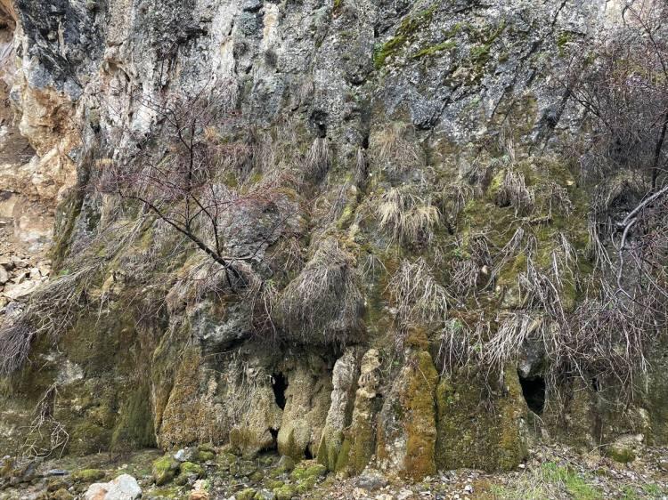 <p><strong>"Bu güzelliğe kavuşmak için hasretle bekliyoruz"</strong></p>
<p>Depremin ardından bölgeye gelen bilim insanlarının suyun durumu hakkında net bir şey söyleyemediklerini dile getiren Yaşar, şunları kaydetti:</p>
<p>"İstanbul Üniversitesinden profesör ekip arkadaşlarıyla geldi. Onlara da sordum, 'Buradaki su gelir mi?' diye ama net bir şey söylemediler. </p>