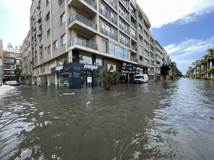 <p>Büyükşehir Belediyesi ve HATSU yetkililerine haber verdik. Gelip müdahale etmelerini bekliyoruz. </p>
