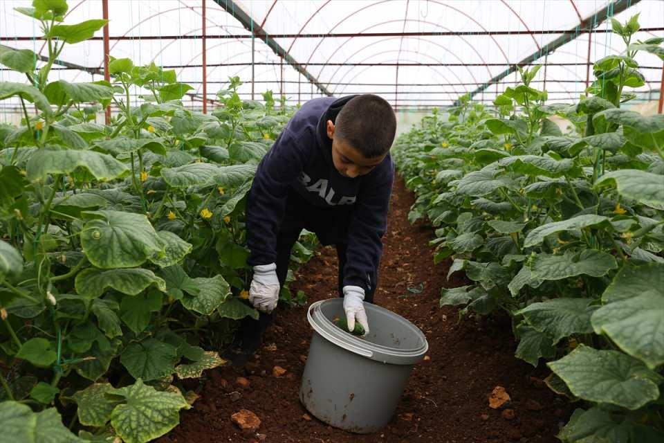 <p>Mahallede 2 dönüm alanda salatalık yetiştirdiğini belirten Topaktaş, "Mahallemizdekilerin geçimi seracılıktan. Bunun dışında hayvancılıkla uğraşanlar da var. Her şeye rağmen salatalık üretimimiz devam ediyor. Çok büyük bir felaket atlattık. Depreme burada mahallede yakalandık. Çok acı günler yaşadık. Rabbime şükürler olsun yine işimizin başındayız. Allah devletimize milletimize zeval vermesin." diye konuştu.</p>

<p> </p>
