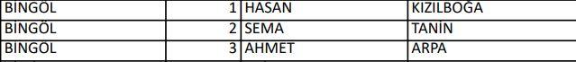 <p>İYİ PARTİ BİNGÖL MİLLETVEKİLLERİ ADAYLARI</p>
