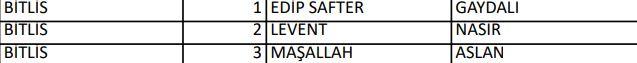 <p>İYİ PARTİ BİTLİS MİLLETVEKİLLERİ ADAYLARI</p>
