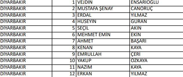 <p>İYİ PARTİ DİYARBAKIR MİLLETVEKİLLERİ ADAYLARI</p>
