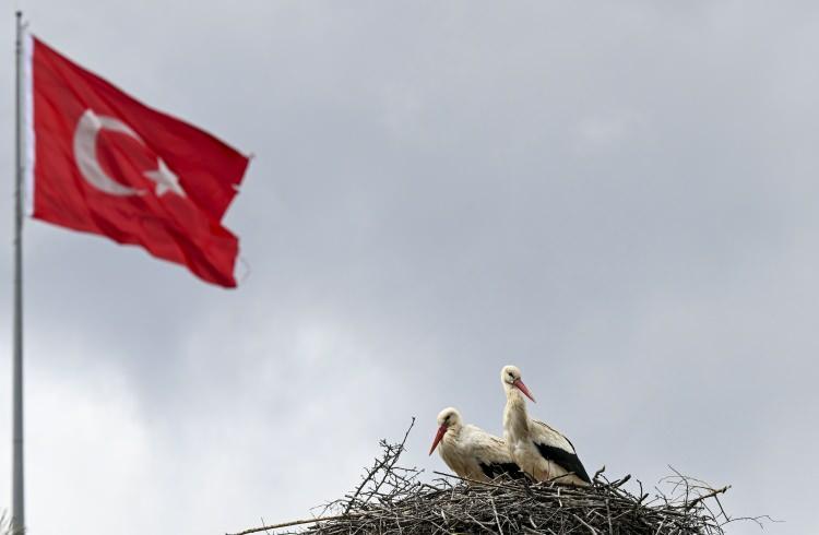 <p>Kış mevsimini sıcak ülkelerde geçiren leylekler, havaların ısınmasıyla birlikte Kuzey Afrika ve Orta Doğu'dan zorlu bir yolculuktan sonra kuluçka dönemini geçirecekleri Kızılcahamam ilçesine geldi. </p>

<p> </p>
