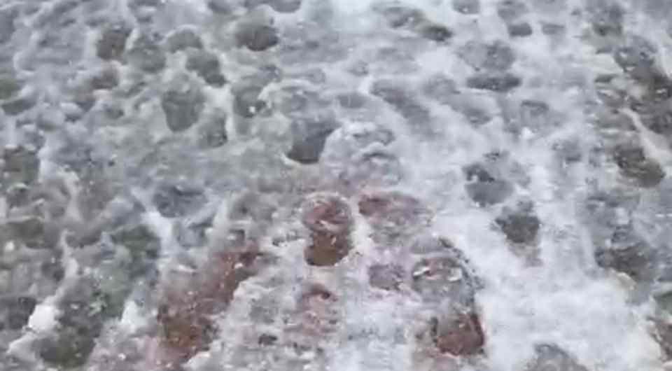 <p>Bitlis’in Tatvan ilçesinde hafta boyunca yağan yağmur, bu sabah yerini kar yağışına bıraktı.<br />
Meteorolojinin uyarılarının ardından dün geceden itibaren Türkiye'nin birçok yerinde olduğu gibi Bitlis’in Tatvan ilçesinde de kar yağışı etkisini gösterdi. </p>
