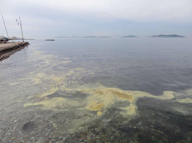 <p>2021'de Marmara Denizi başta olmak üzere birçok noktayı etkisi altına alan deniz salyası yani müsilaja benzer görüntüler bu sabah Kadıköy Caddebostan sahilinde kaydedildi.</p>

