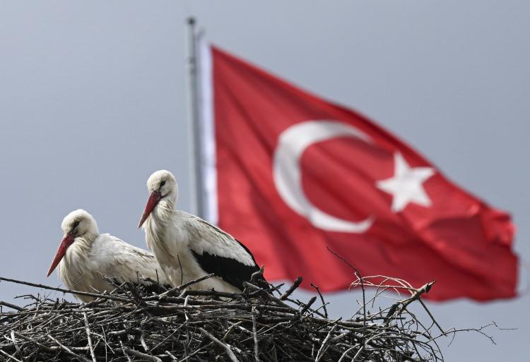 <p>Bir işadamı tarafından leyleklerin yuva yapması için özel olarak yaptırılan "leylek apartmanı" olarak bilinen bölgeye bu sene yaklaşık 20 leylek yuva yaptı.</p>
