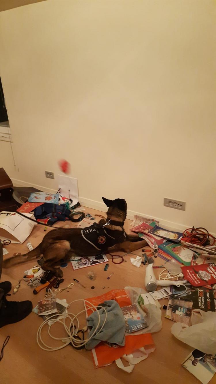 <p>&Ouml;te yandan Narkotik Daire Başkanlığı ilk defa bu operasyonda K&ouml;pek Eğitim Akademisi'nde yetiştirilen teknoloji arama k&ouml;pekleri Rio ve Atena kullanıldı. Bu k&ouml;pekler sayesinde evdeki tuvaletlerdeki duvarların arkasında gizlenen telefonlar bulundu.&nbsp;</p>

<p>&nbsp;</p>
