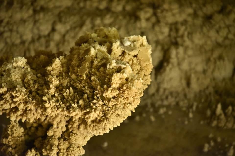 <p>Bugüne kadar yaklaşık 1,5 milyon kişinin ziyaret ettiği mağaranın içerisinde sarkıt, dikit, sütun, org desenli duvarlar, bayrak şekilleri, perde damlataşları, mağara çiçekleri, mağara incileri, fil kulakları, traverten havuzları, traverten basamakları ve mağara gülleri yer alıyor.</p>
<p> </p>