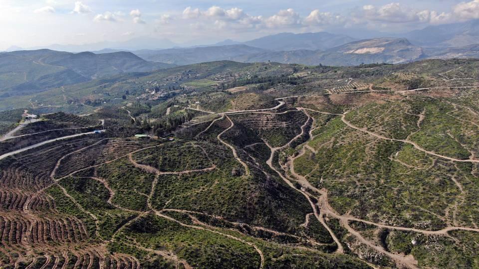 <p>Yangın sonucu 15 bin dekar tarımsal alan zarar gördü. Büyük afet sonrası bölgedeki yemyeşil ormanlık alandan ise geriye gri renk tonunun hakim olduğu alanlar kaldı.</p>

<p> </p>
