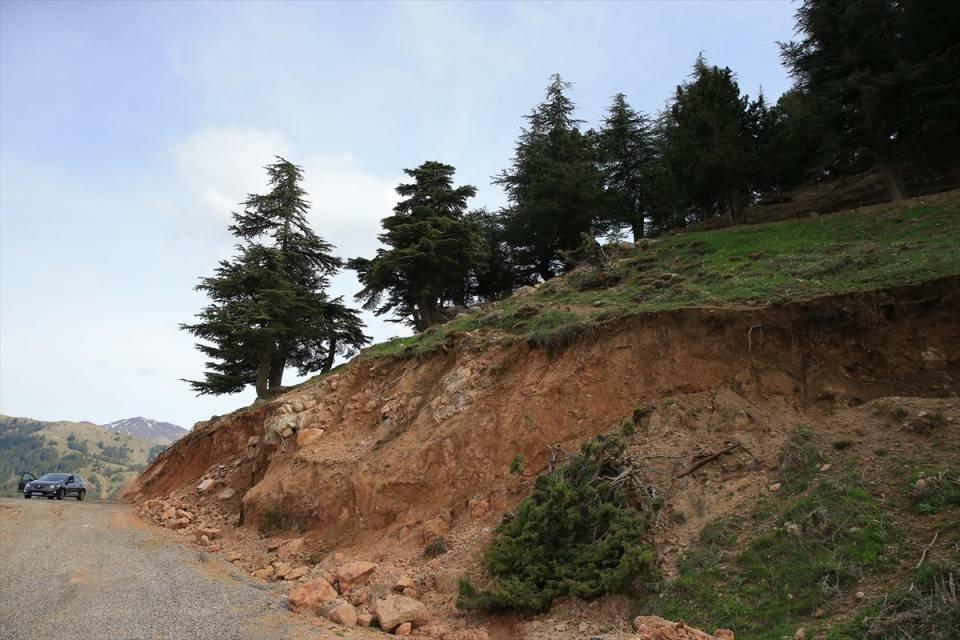 <p>Katılmış, hayvanlarını otlatmak için gezdiği dağlarda yüzey kırıklarını görünce büyük şaşkınlık yaşadığını sözlerine ekledi.</p>
