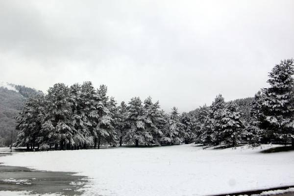 <p>Bolu merkeze 40 kilometre uzaklıktaki, doğal güzellikleriyle ünlü Abant Gölü Milli Parkı'nda da kar yağışı etkili oldu. </p>
