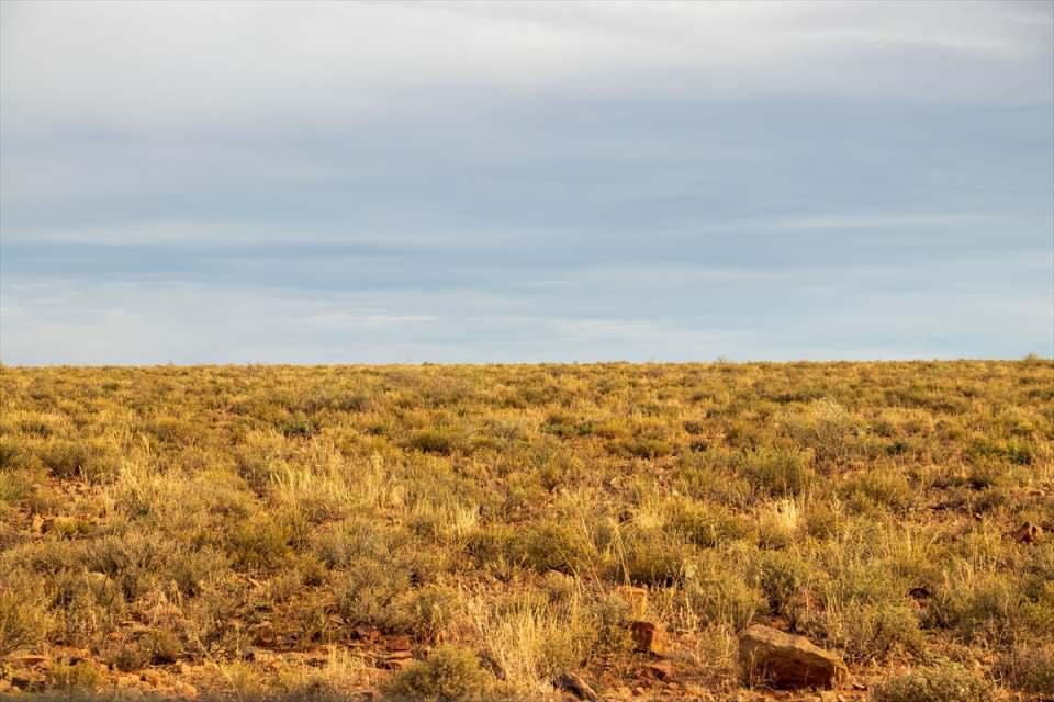 <p>Kuzu ve koyun yetiştiriciliği konusunda Güney Afrika genelinde meşhur bir yer olan Graaff-Reinet'in restoranlarında geyik ve antilop av etine de sık rastlanıyor. Burası aynı zamanda geniş konaklama seçeneklerine sahip. Bölgeye özgü çiftlik evleri en çok tercih edilen konaklama türleri arasında.</p>
