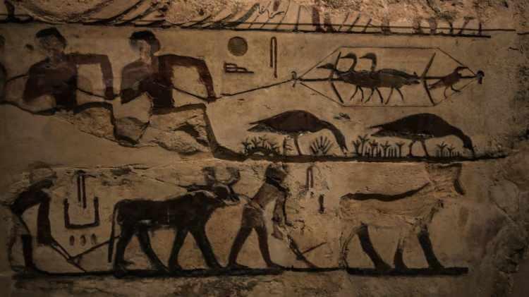 <p>Mısır’ın başkenti Kahire’de bulunan Kahire Mısır Müzesi yaklaşık 120 yıldır yerli ve yabancı ziyaretçilerini ağırlamayı sürdürüyor.</p>
