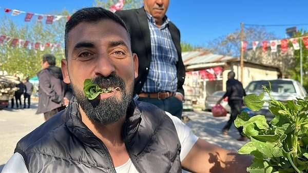 <p><span style="color:#000080"><strong>Yanında 5 kişi çalıştıran ve günlük 500 lira yevmiye veren Karabulut, vatandaşın kuzu kulağına yoğun talep gösterdiğini kaydetti.</strong></span></p>
<p> </p>