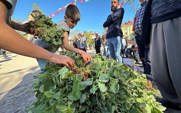 <p><span style="color:#800000"><strong>Elazığ'ın Palu ilçesinde dağlarda toplanan, nisan ile haziran ayları arasında çıkan kuzu kulağı, tezgahlarda yerini almaya başladı. Ekşimsi bir tadı olduğu için "tırşık" diye isimlendirilen bitki, salata olarak tüketildiği gibi pişirilerek de yeniyor.</strong></span></p>
