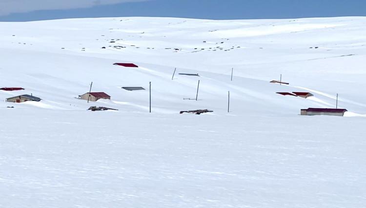 <p>Yaylacılardan Şenol Bozkurt, Bülbülan Yaylası'nın bölgenin en yüksek rakımlı yerleşim alanı olduğunu belirterek,  “Ardahan'a 40 kilometre uzaklıktaki Bülbülan Yaylası aynı zamanda turistik bir yayla.</p>
