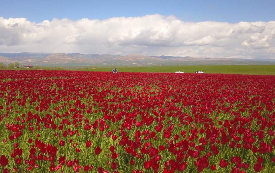 <p>Şimdi hayalini kurduğum manzaranın ortasındayım. İnanılmaz güzel. Hayallerimde bile bu kadar güzel değildi. Gerçeği çok daha güzel ve muhteşem” diye konuştu.</p>
