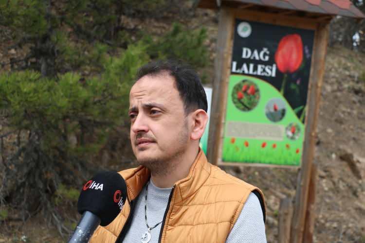 <p><strong>Yılda sadece 15 gün görünüyor</strong></p>
<p>Kızılcahamam Belediyesinde turizm tanıtım sorumlusu Ali İhsan Kayabaşıoğlu, Kızılcahamam’da Soğuksu Milli Parkında yetişen ve yalnızca bir ay görülebilen dağ lalesinin endemik bir tür olduğunu belirterek, “Nisan ve mayıs arasında çıkar, endemik bir türdür. </p>