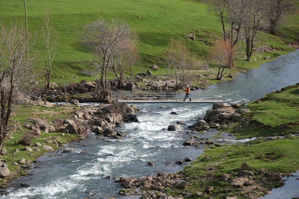 <p>Doğa Koruma ve Milli Parklar Genel Müdürlüğünce "Yüzen Adalar Tabiat Anıtı" olarak koruma altına alınan yüzen adalar, ilkbaharda yeşile bürünen görüntüsüyle ziyaretçilerinin ilgisini çekiyor.</p>

<p> </p>
