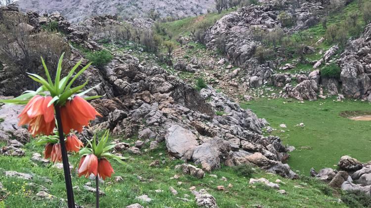 <p><strong>“Gerçekten görsel bir şölen var burada”</strong><br />
<br />
Adana’dan geldiğini belirten fotoğraf sanatçılarından Yusuf Ertan Elma ise “Adana’dan geliyorum. Bugün Batman’ın Sason ilçesindeki Şilek Yaylası’ndayız. </p>