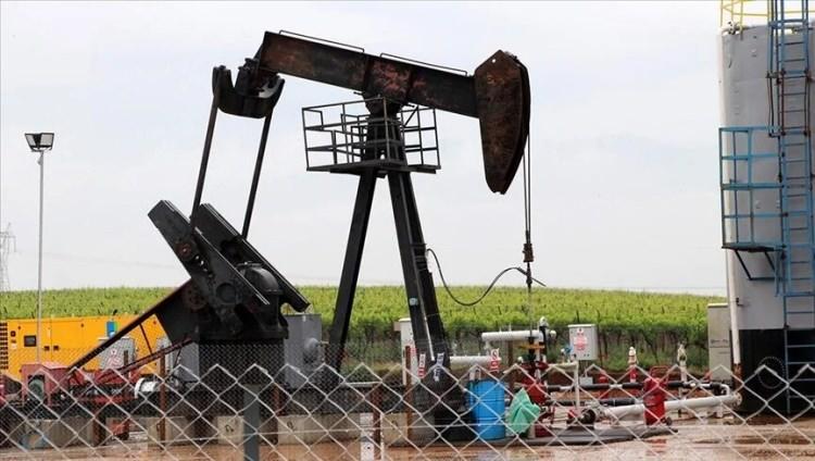 <p><strong>SONDAJ POMPASIYLA PETROL ÜRETİMİNE GEÇİLDİ</strong></p>

<p>Bölgedeki çalışmaların umut verici olduğunu ve Atbaşı adlı petrol pompasının kurulmasıyla sahada petrol beklentisinin yükseldiğini belirten Jeofizik mühendisi Adnan Karataş (58), TPAO'nun, Yağbasan 1 deneme-üretim sahasına 500 metre mesafede yeni bir saha da çalışma başlattığını söyledi.</p>

<p> </p>

