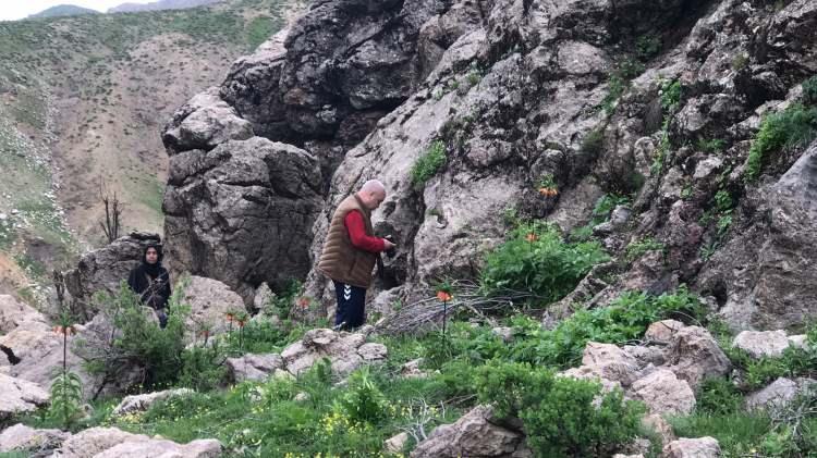 <p>Düşünsenize Sason’un ters lalesi İngiltere’deki bir fotoğraf yarışmasında ödül alıyor bu hakikaten çok güzel kültüre bir etkinliktir” dedi.</p>